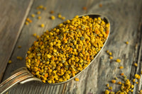 Pollen Grain